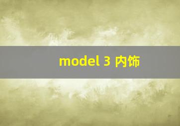 model 3 内饰